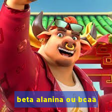 beta alanina ou bcaa